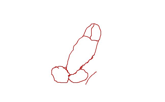 kuk