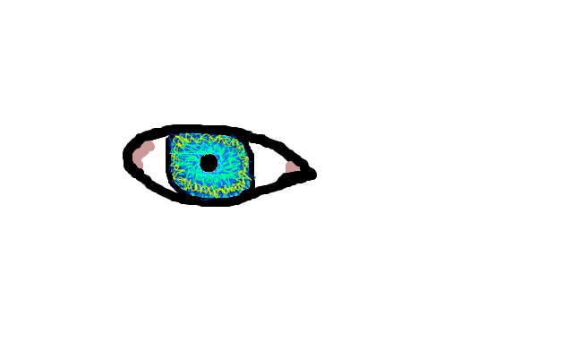 the eye