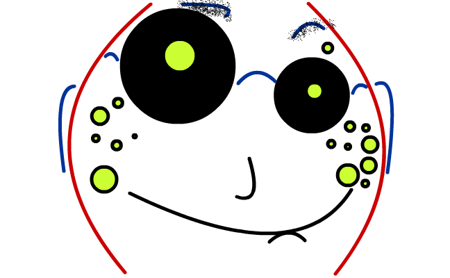 soulja boy