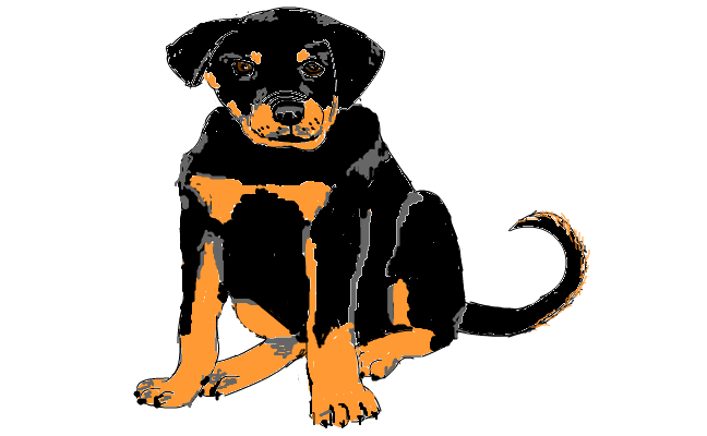 Hund, färglagd