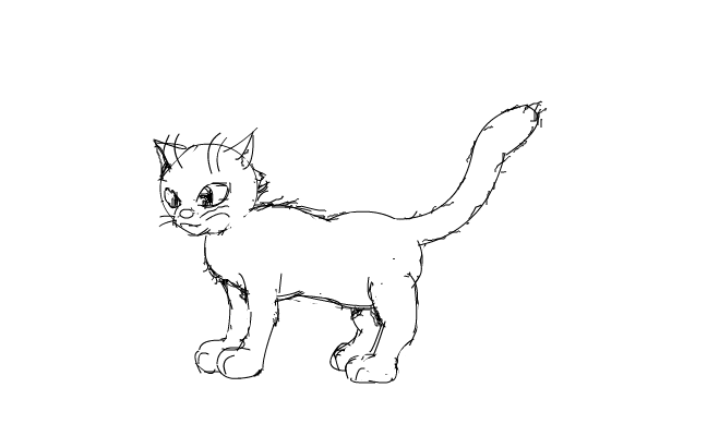 Katt