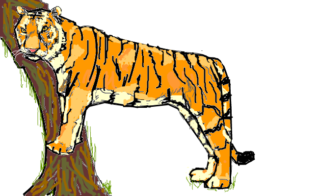 Tiger färgad
