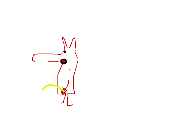sniff som stand and