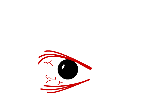 The Eye