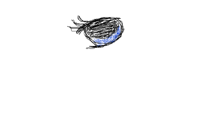 eye