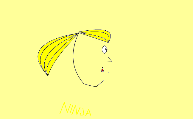 Ninja
