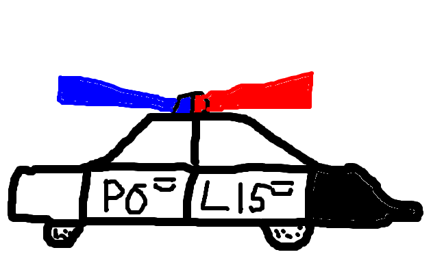 POLIS BIL