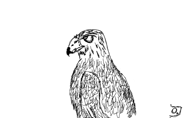 fågel