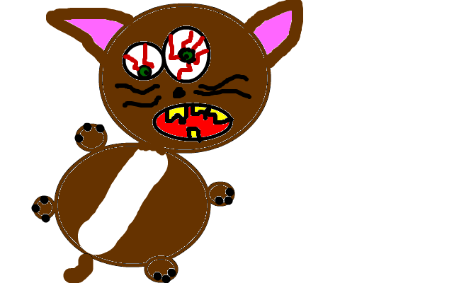 den fina katten