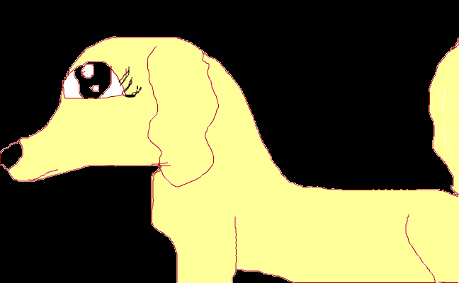 Hund