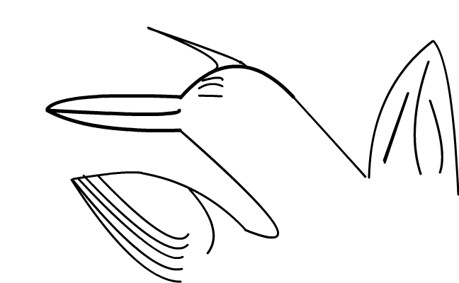 ö