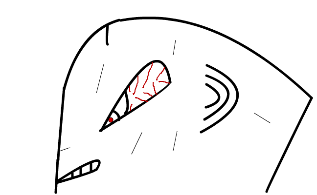 GRRR