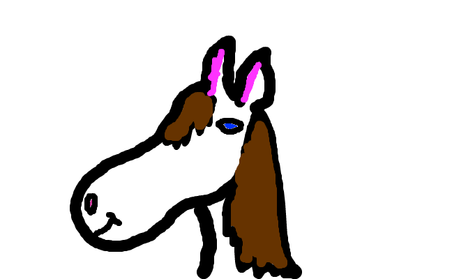 Hästar