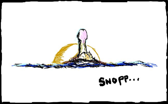 snopp
