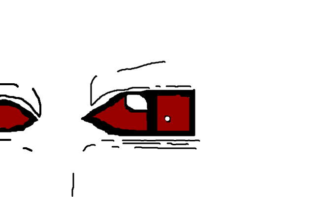 The eye