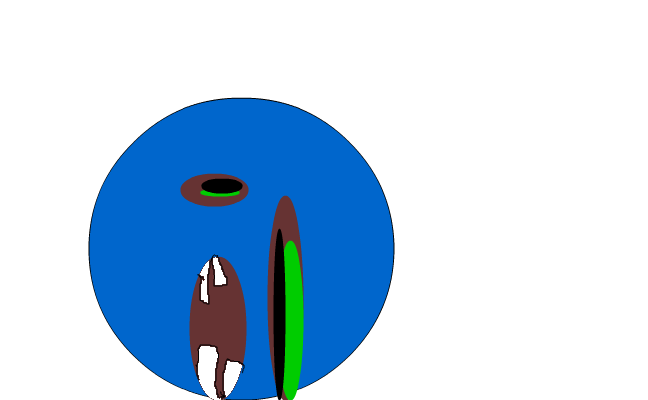 ????????????????????
