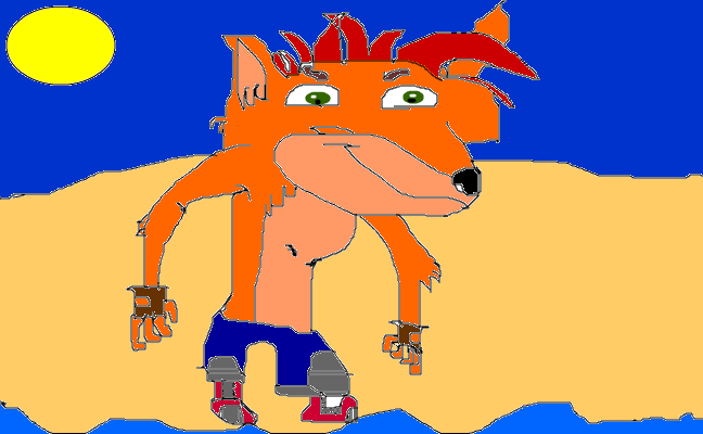N.santy beach/crash