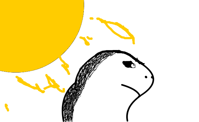 Ful Säl