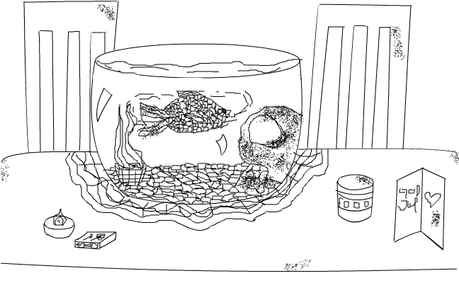 Fish in the water