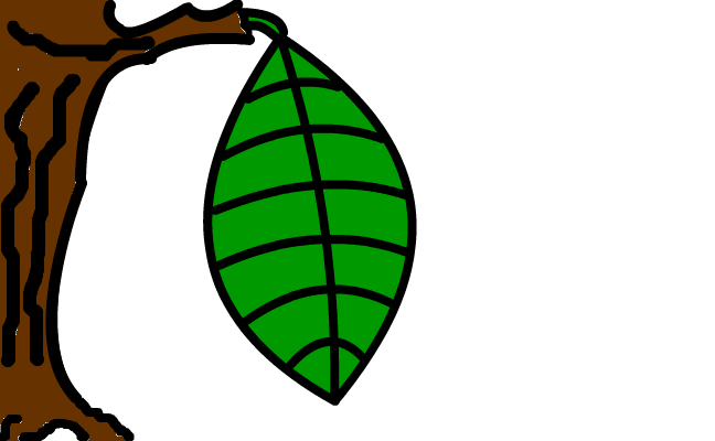 SMall tree big leaf
