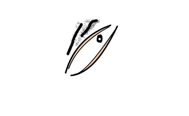 öga