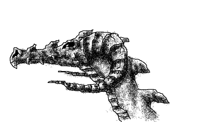 StoneDragon