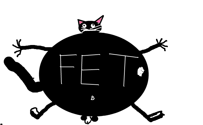 Sally ollis katt