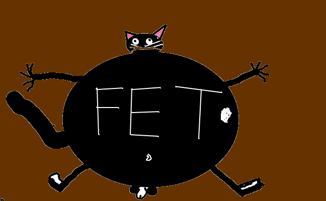 ollis kebab katt