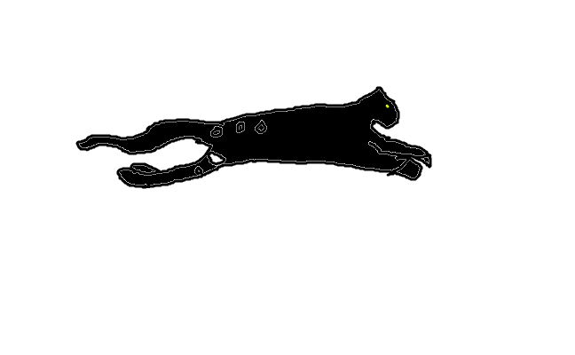 svart panther