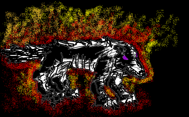 wolf
