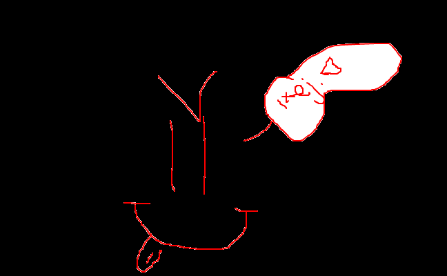 Jolle