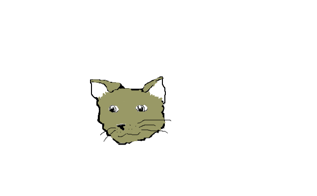 Katt