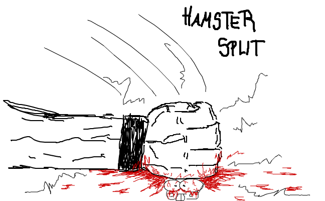 HamsterSplit