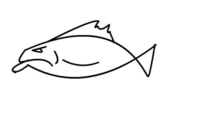 fisk