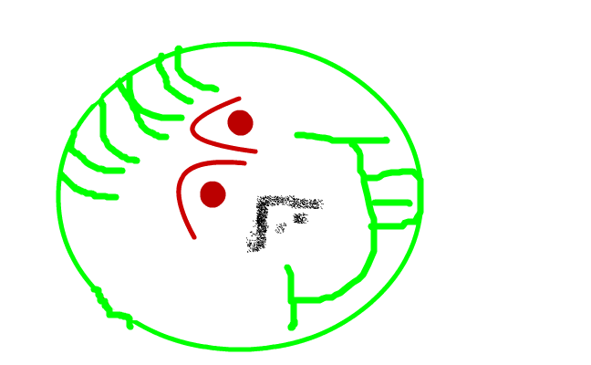 gubbe