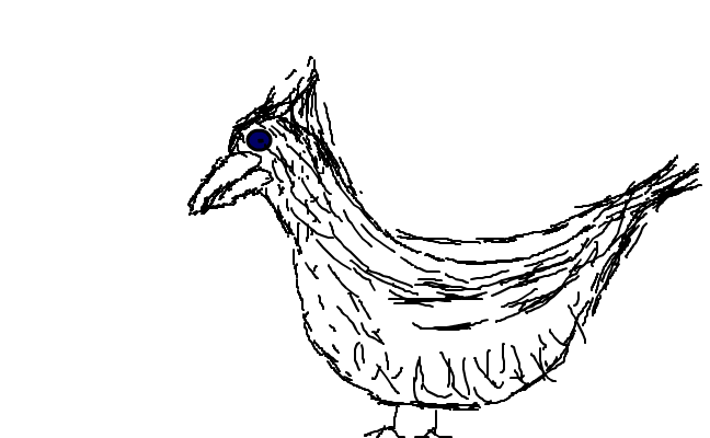 Superfågel