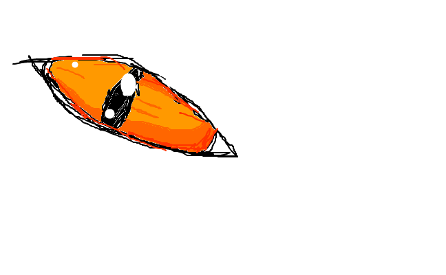 eye