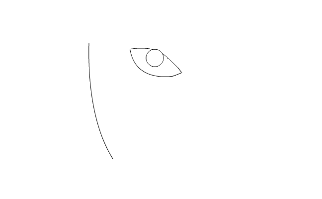pein