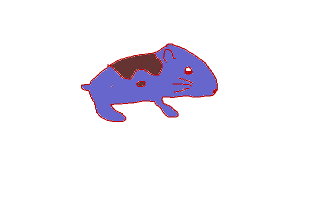 Min hamster