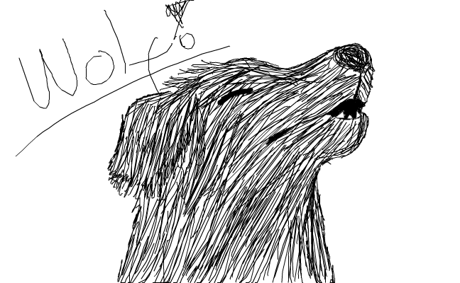 Wolf