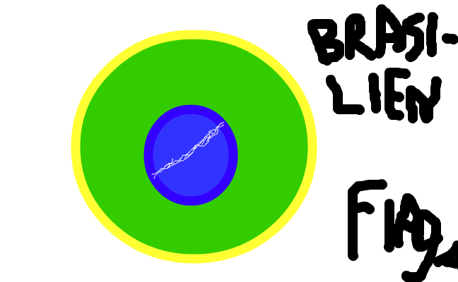 brazzziliens flagga