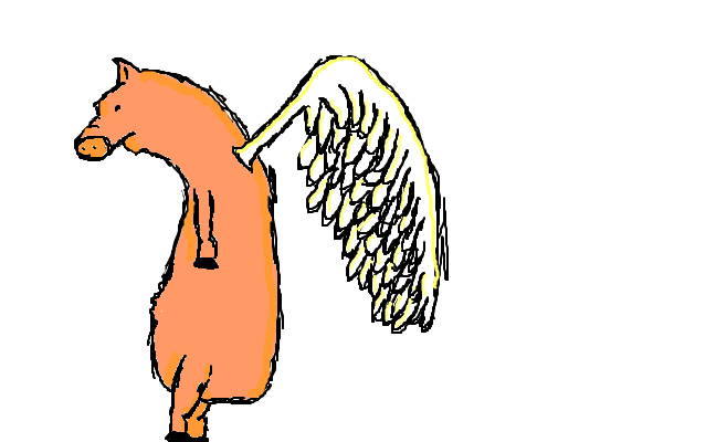 fly pig fly