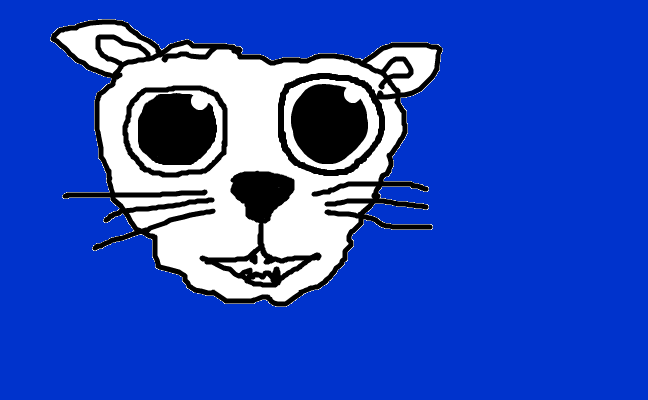 katt