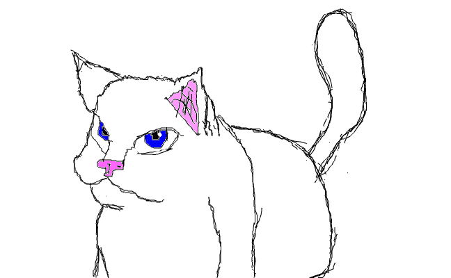 En fin liten katt