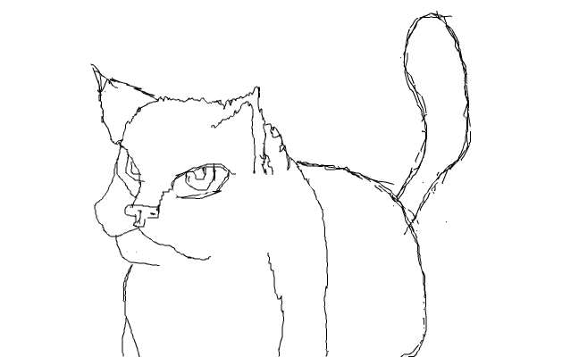 Katt oklar