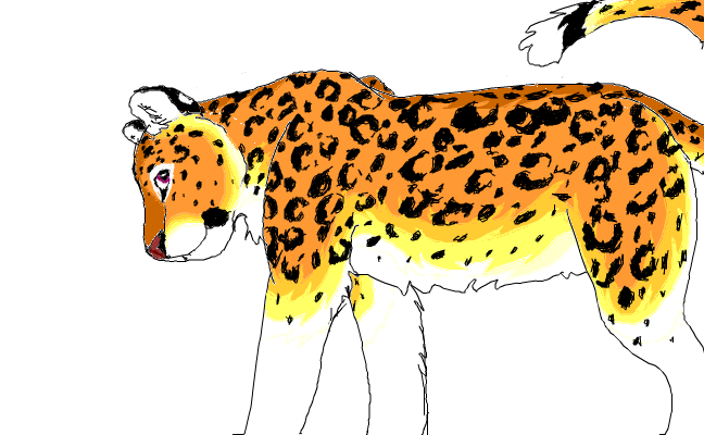 Leopard