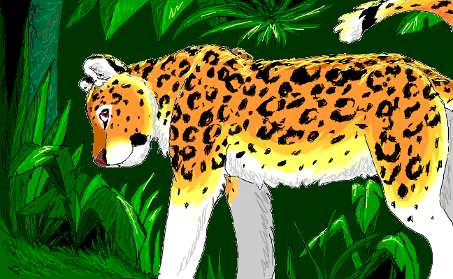 Leopardis