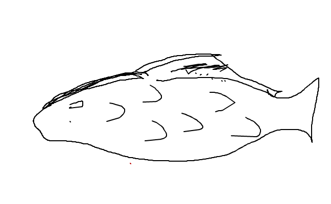 fiskfejja