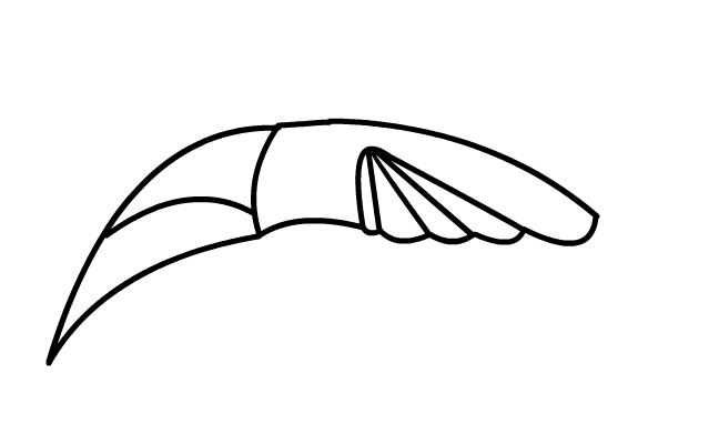 kniv