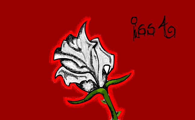 white rose^^